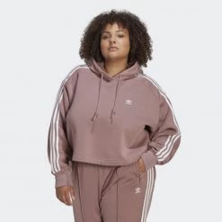 Εξοδος ✨ Μπλούζα Με Κουκούλα Adidas Originals Adicolor Classics Hoodie (Plus Size) PURPLE ⌛